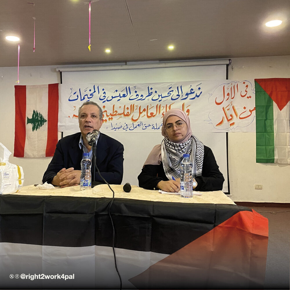 The Situation of Palestinian Refugees in Lebanon and the Impact of the Economic Crisis on Palestinian Labour in Ain al-Hilweh Camp