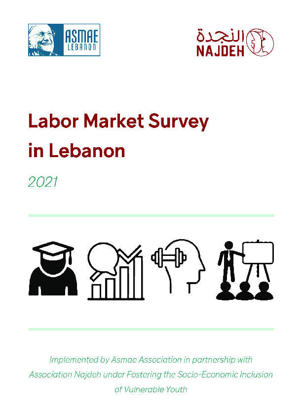 Labor Market Survey in Lebanon.pdf